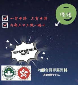 澳门精准四肖期期中特公开｜适用计划解析方案