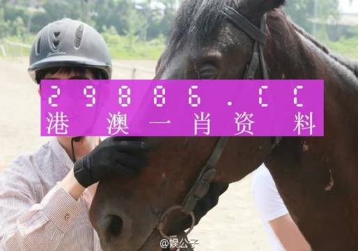 澳门一码精准必中大公开,动态词语解释落实_完整版62.476