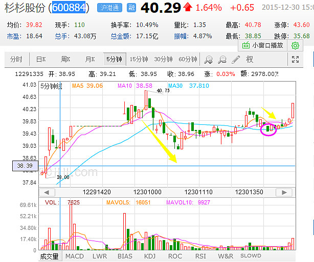 杉杉股份最新动态深度解析及前景展望，最新消息与动态展望