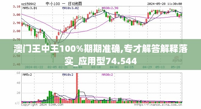 新澳门王中王100%期期中,经济性方案解析_7DM93.960