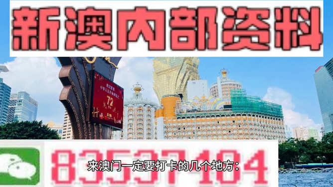 澳门正版精准免费大全,动态解析词汇_高级版29.831