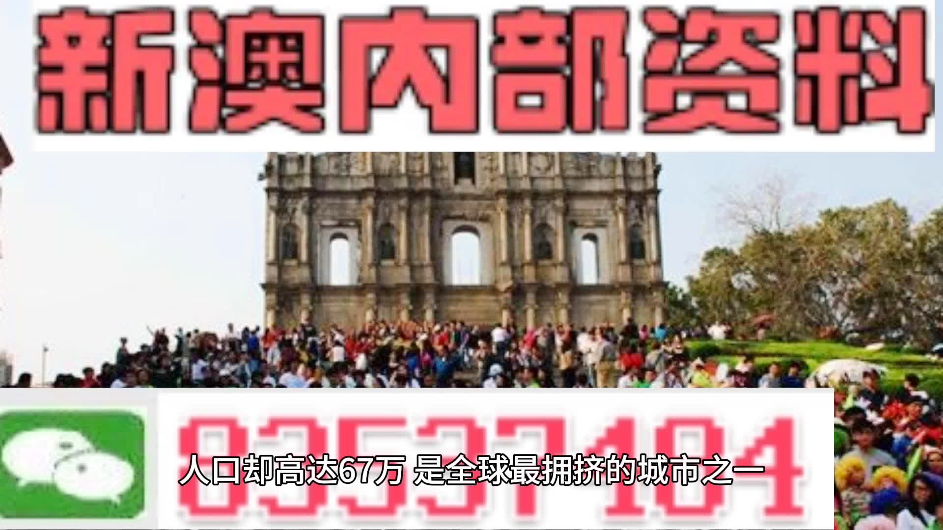 新澳门免费全年资料查询,专业调查解析说明_入门版82.327